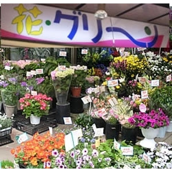 お花を買うならココ 船橋の花屋さんまとめ 船橋の暮らしを楽しくするお店まとめ まいぷれ 船橋市 お花を買うならココ 船橋の花屋さんまとめ 船橋の暮らしを楽しくするお店まとめ まいぷれ 船橋市