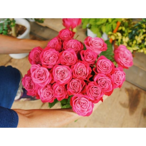 お花を買うならココ 船橋の花屋さんまとめ 船橋の暮らしを楽しくするお店まとめ まいぷれ 船橋市 お花を買うならココ 船橋の花屋さんまとめ 船橋の暮らしを楽しくするお店まとめ まいぷれ 船橋市