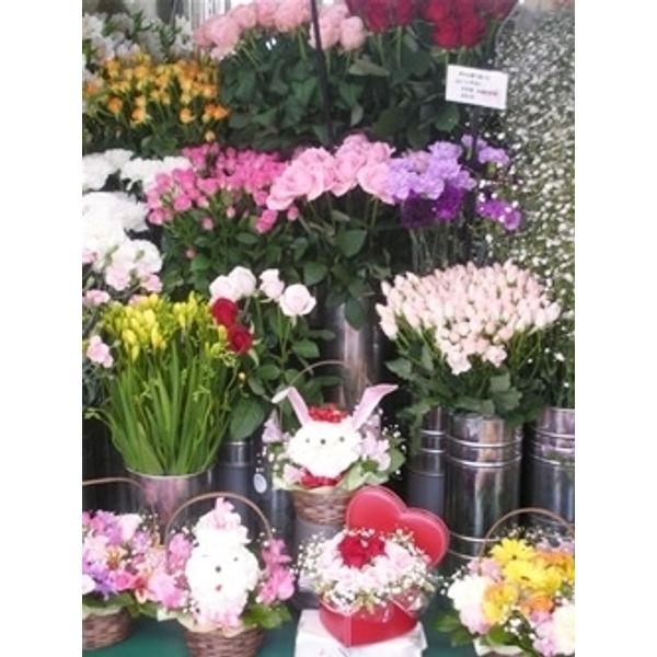 お花を買うならココ 船橋の花屋さんまとめ 船橋の暮らしを楽しくするお店まとめ まいぷれ 船橋市 お花を買うならココ 船橋の花屋さんまとめ 船橋の暮らしを楽しくするお店まとめ まいぷれ 船橋市